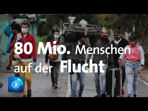 Fast 80 Millionen Menschen weltweit auf der Flucht
