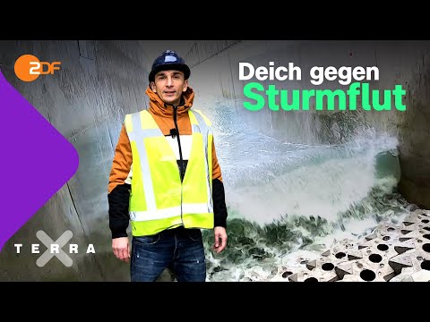 Wie schützen wir unsere Küsten? | Terra X plus